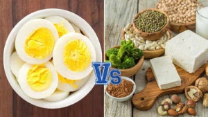 Beyond the Egg: 20 Vegetarian Protein Powerhouses Revealed